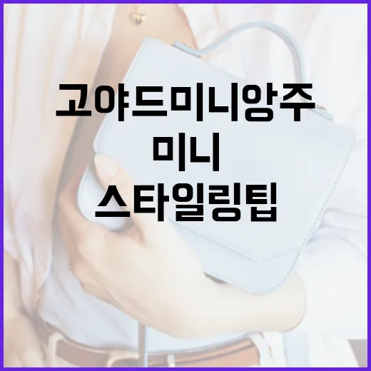 고야드 미니앙주 스타일링 팁: 패셔니스타처럼 활용하는 방법 - 요약