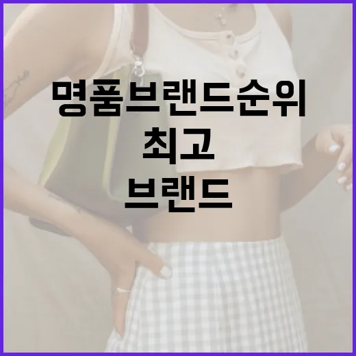 최고의 명품 브랜드 순위를 알아보는 방법 - 요약