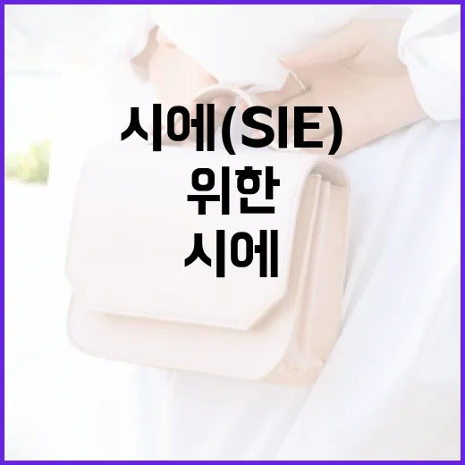 시에(SIE) 관리를 위한 최고의 방법 - 요약