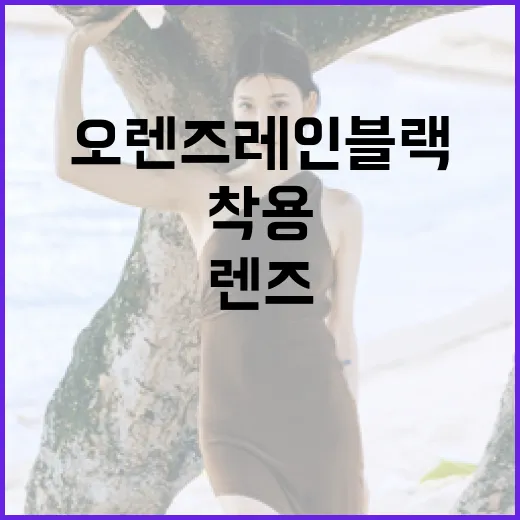 오렌즈 레인블랙 렌즈 착용 방법과 유용한 팁 - 요약