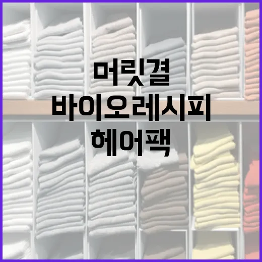 바이오레시피 헤어팩을 활용한 건강한 머릿결 관리 방법 - 요약