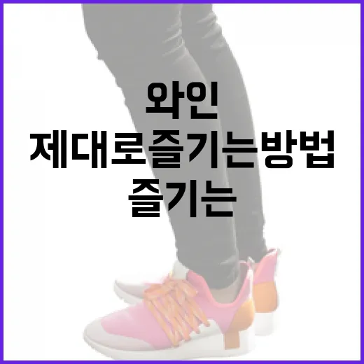 타낫 와인을 제대로 즐기는 방법 - 요약