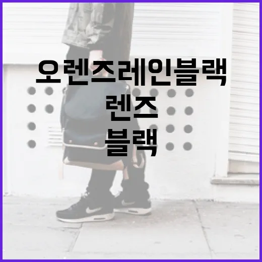 오렌즈 레인블랙 렌즈 활용법: 스타일링 팁과 관리 요령 - 요약