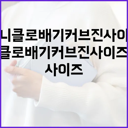 유니클로 배기커브진 사이즈 선택하는 방법 - 요약