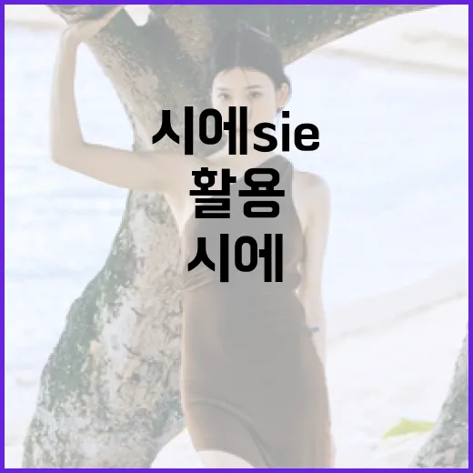 시에 Sie를 이해하고 활용하는 방법 - 요약