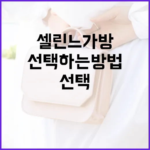 셀린느 가방 올바르게 선택하는 방법 - 요약