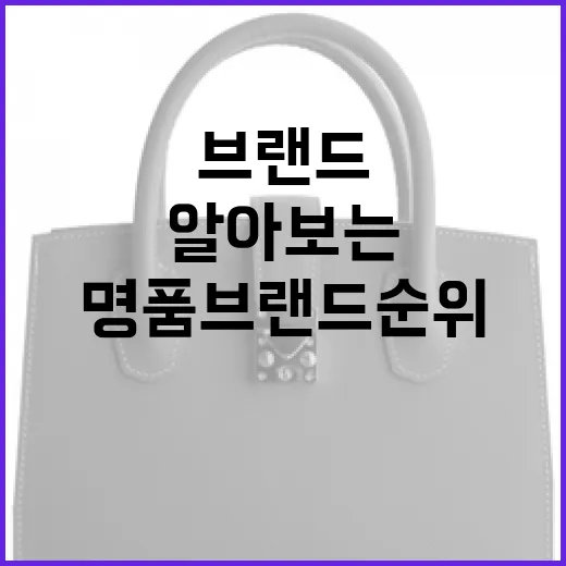 명품 브랜드 순위를 알아보는 방법 - 요약