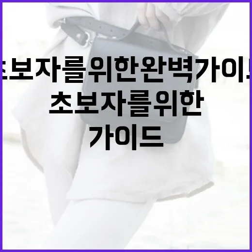 셀린느 가방을 고르는 방법: 초보자를 위한 완벽 가이드 - 요약