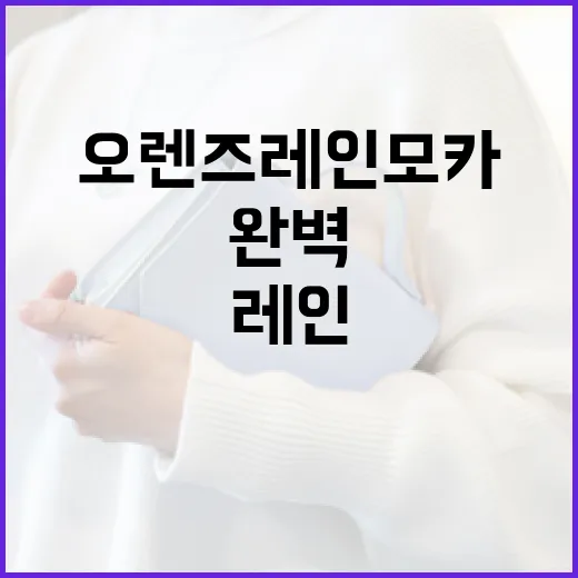오렌즈 레인모카를 완벽하게 즐기는 방법 - 요약