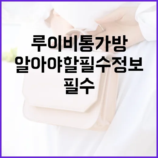 루이비통 가방 구매 시 알아야 할 필수 정보 - 요약
