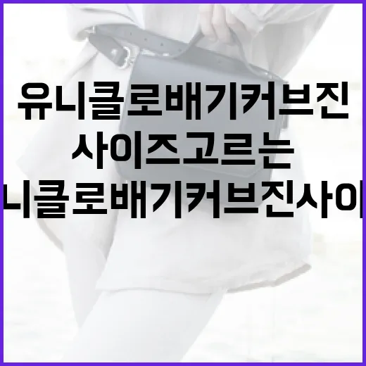 유니클로 배기커브진 사이즈 고르는 방법 - 요약