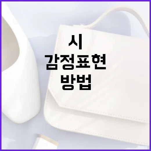 시에를 통해 감정 표현을 더 깊이 있게 하는 방법 - 요약