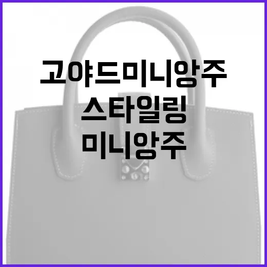 고야드 미니앙주로 스타일링하는 방법 - 요약