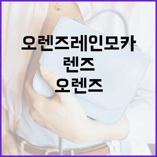 오렌즈 레인모카 렌즈를 완벽하게 활용하는 방법 - 요약