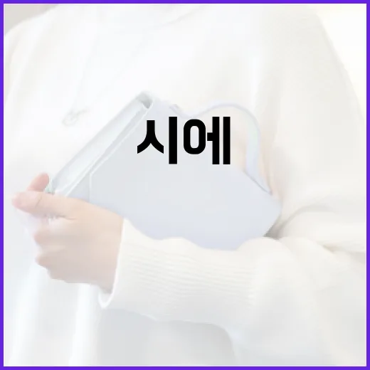 시에(Sie)를 이해하고 활용하는 방법 - 요약
