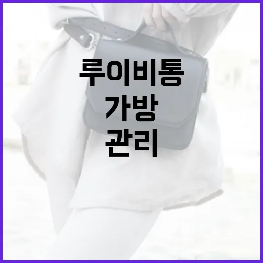 루이비통 가방을 구매하고 관리하는 방법 - 요약