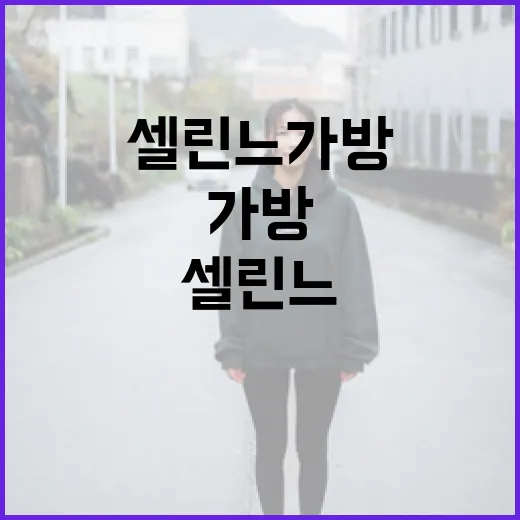 셀린느 가방을 고르는 방법: 스타일과 기능을 고려하세요 - 요약