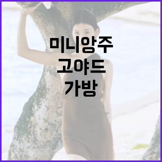 고야드 미니앙주 가방을 스타일링하는 방법 - 요약