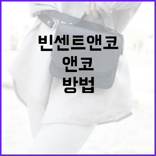 빈센트앤코를 이해하고 활용하는 방법 - 요약