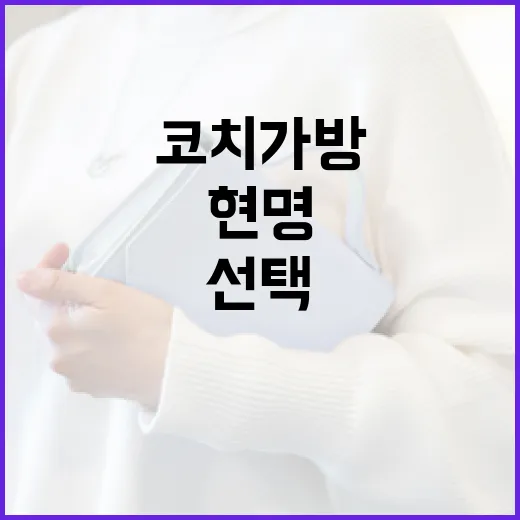 코치 가방을 현명하게 선택하는 방법 - 요약