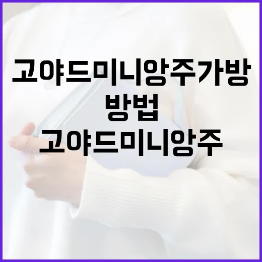 고야드 미니앙주 가방을 최대한 활용하는 방법 - 요약