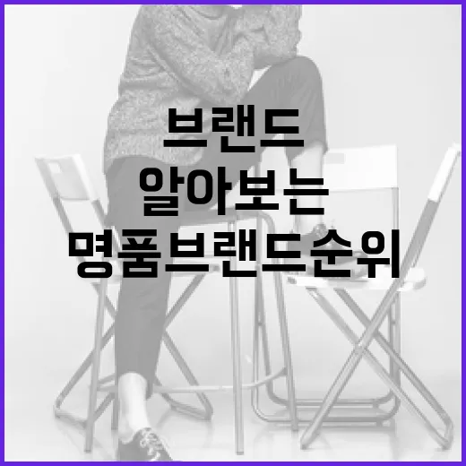 명품 브랜드 순위를 알아보는 방법 - 요약