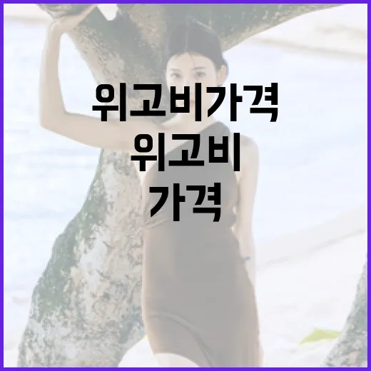 위고비 가격을 알기 위한 최적의 방법 - 요약