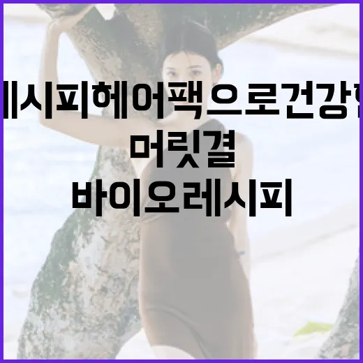 바이오레시피 헤어팩으로 건강한 머릿결 유지하는 방법 - 요약
