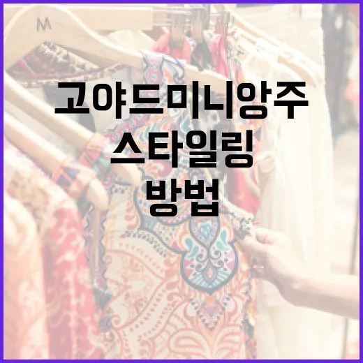 고야드 미니앙주를 멋지게 스타일링하는 방법 - 요약