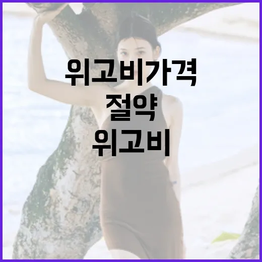 위고비 가격을 이해하고 절약하는 방법 - 요약