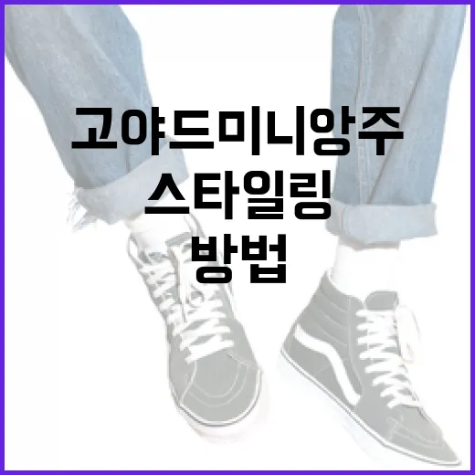 고야드 미니앙주 스타일링하는 방법 - 요약