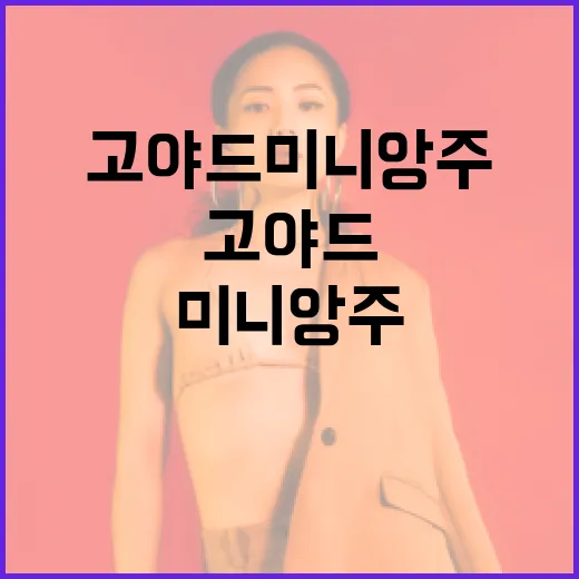 고야드 미니앙주 선택하는 방법 - 요약