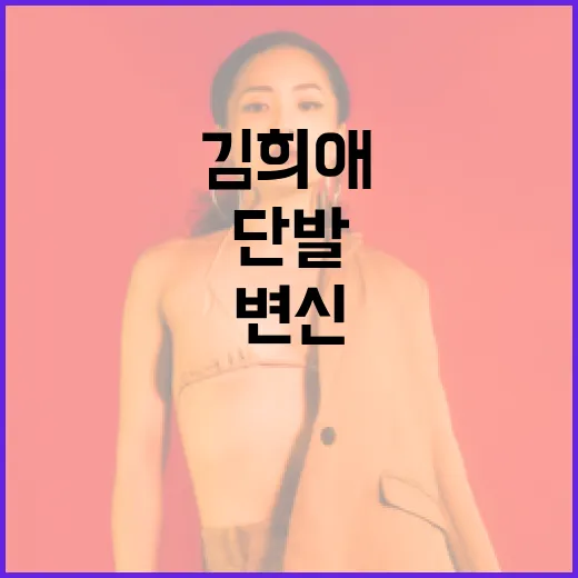김희애처럼 단발로 변신하는 방법 - 요약