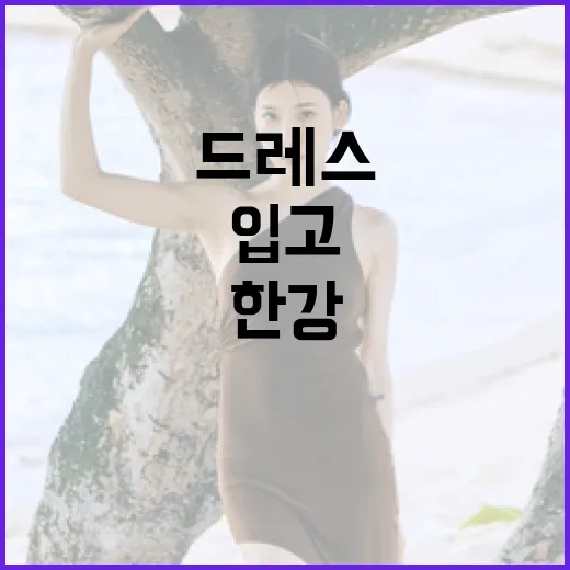 한강에서 아이유 드…