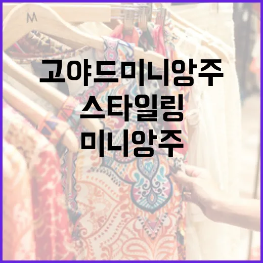 고야드 미니앙주로 스타일링하는 방법 - 요약