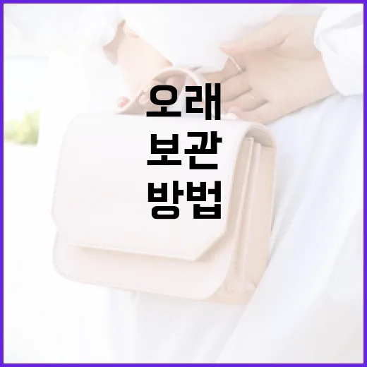 프리져베를 활용하여 식품을 오래 보관하는 방법 - 요약