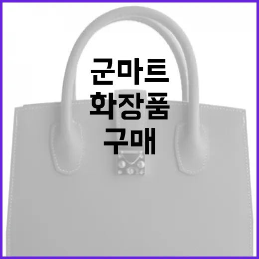 군마트에서 화장품을 현명하게 구매하는 방법 - 요약