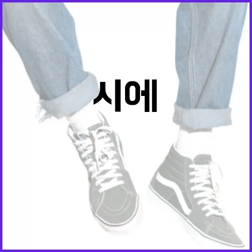 시에(SIE)를 이해하고 활용하는 방법 - 요약