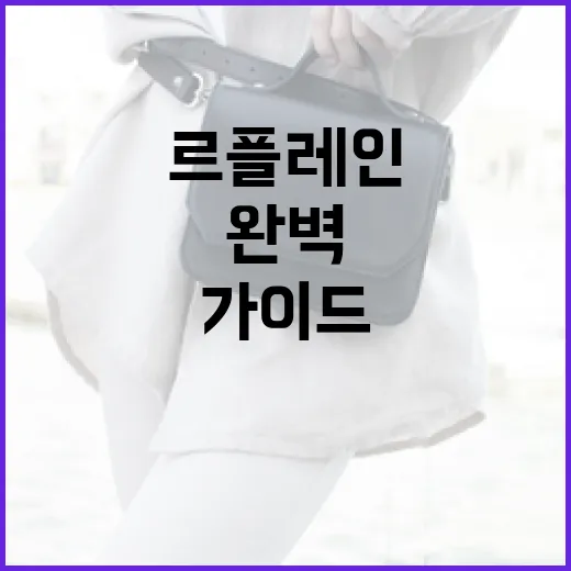 르플레인 즐기는 방법: 완벽한 일상 탈출을 위한 가이드 - 요약