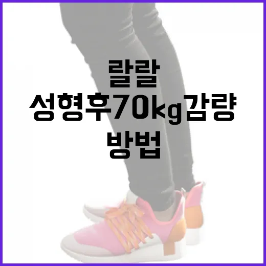 성형 후 70kg 감량한 랄랄의 변화 과정을 알아보는 방법 - 요약