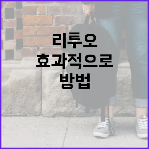 리투오를 이해하고 효과적으로 사용하는 방법 - 요약