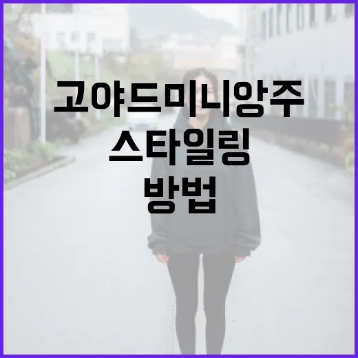 고야드 미니앙주 스타일링하는 방법 - 요약