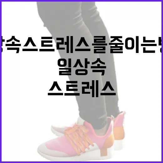 미닛뮤트로 일상 속 스트레스를 줄이는 방법 - 요약