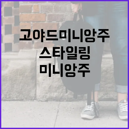 고야드 미니앙주 스타일링하는 방법 - 요약