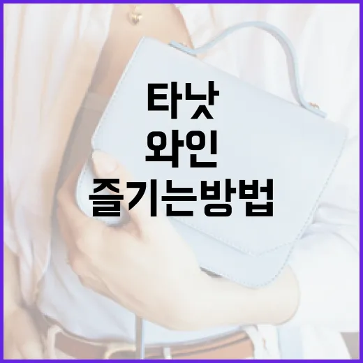 타낫 와인을 즐기는 방법 - 요약