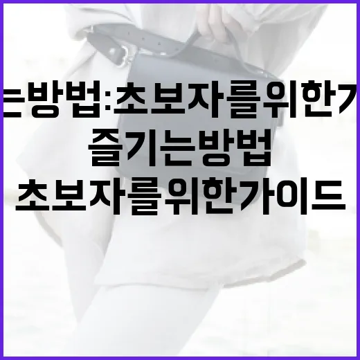 타낫을 즐기는 방법: 초보자를 위한 가이드 - 요약