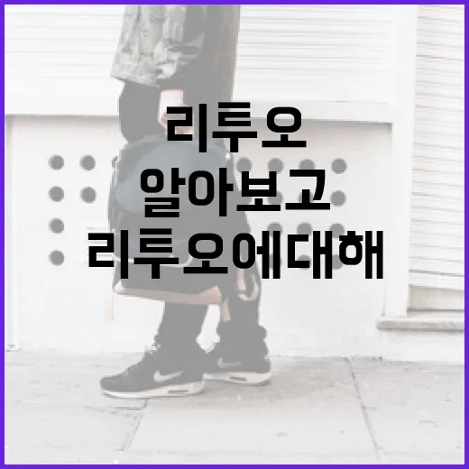 리투오에 대해 알아보고 활용하는 방법 - 요약