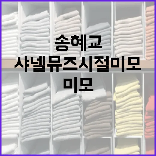 송혜교의 샤넬 뮤즈 시절 미모 유지하는 방법 - 요약