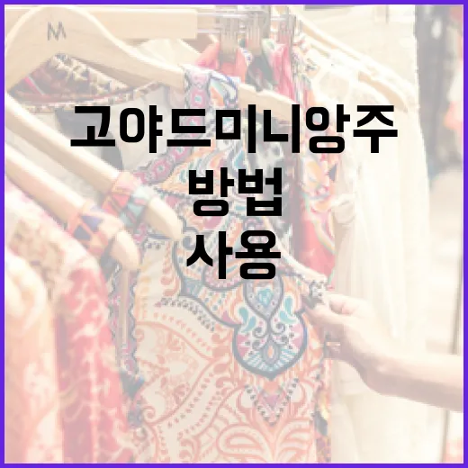 고야드 미니앙주를 스타일리시하게 사용하는 방법 - 요약