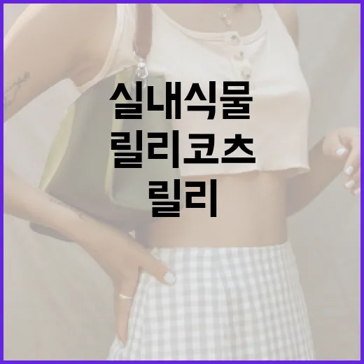 릴리코츠를 활용하는 방법: 실내 식물 관리의 비밀 - 요약